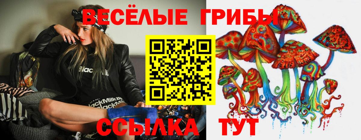 купить  сайты  Вход с VPN  Троицк  Псилоцибиновые грибы мухоморы 